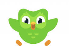 a picture of the Duolingo owl